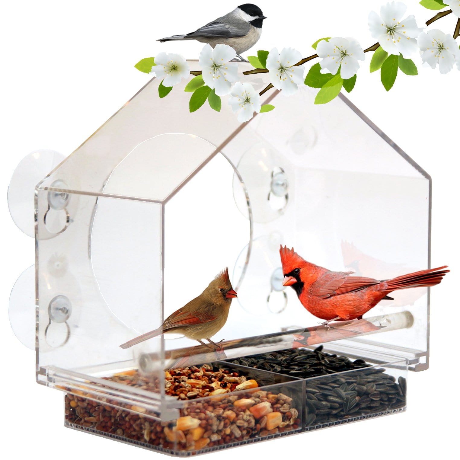 Best Window Bird Feeder