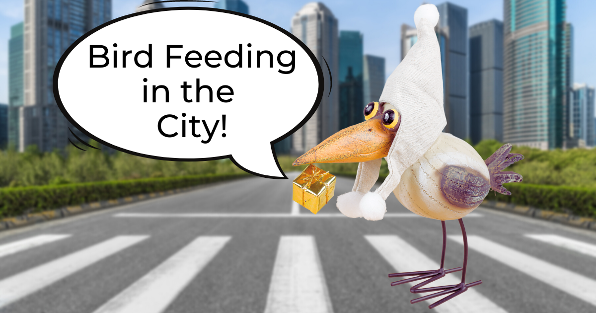 Feeding the Cities