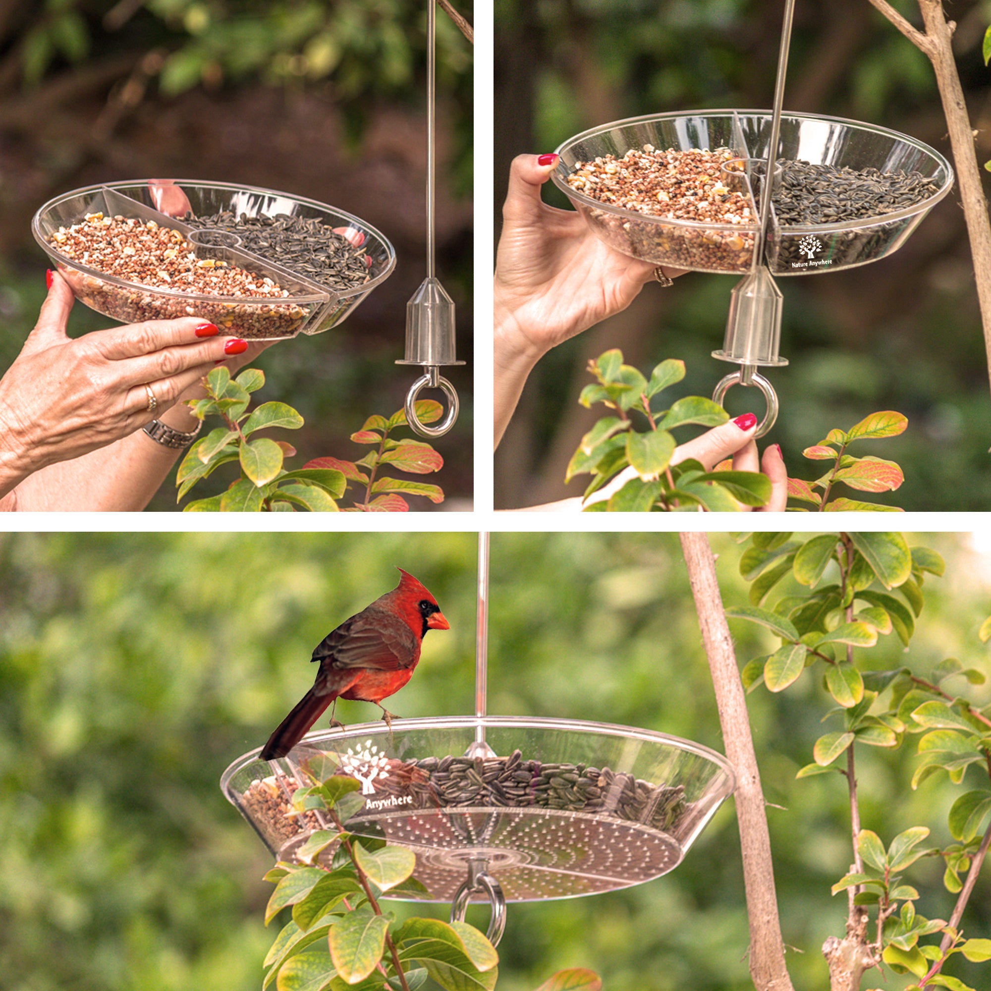 Easy Feeder Hanging Bird Feeder