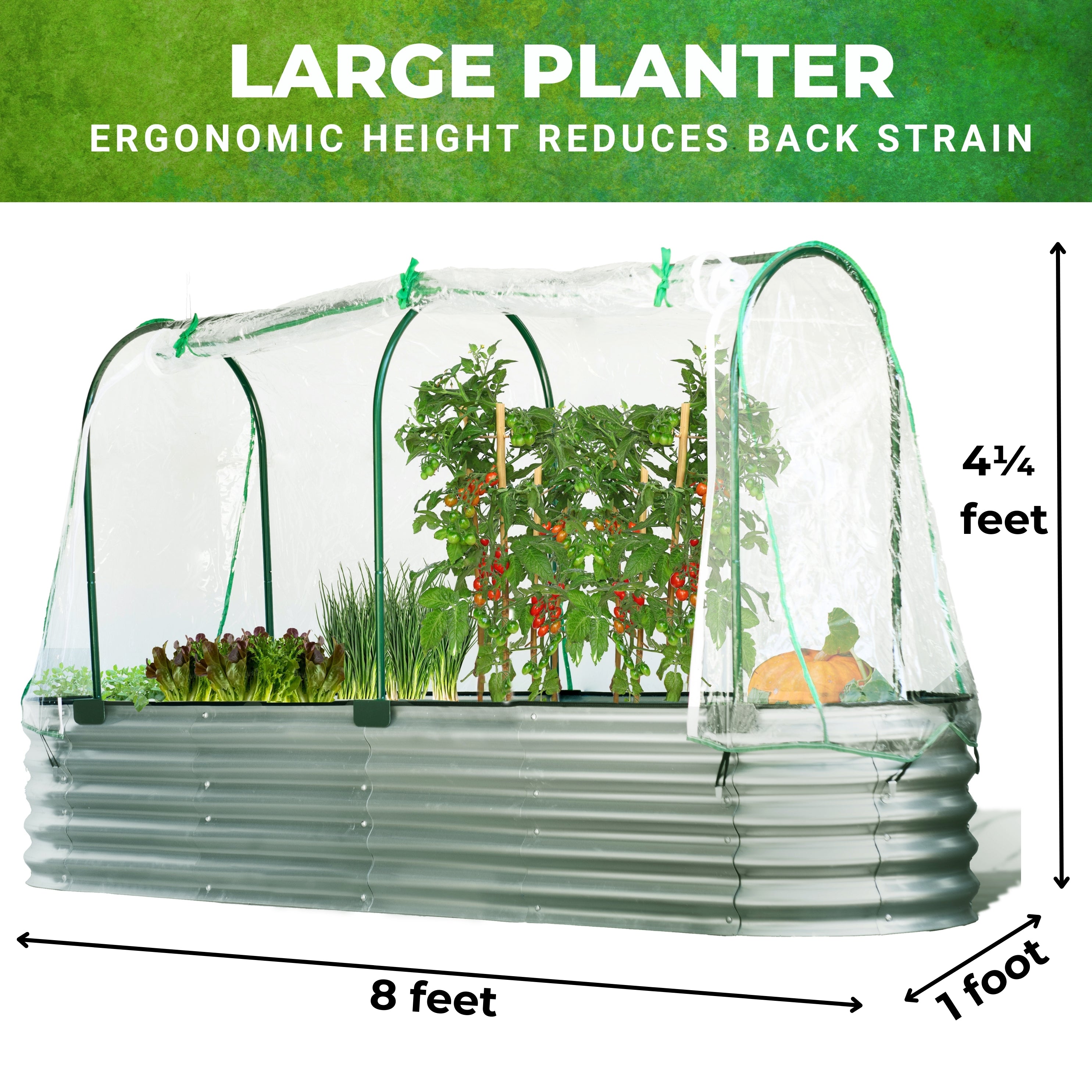 Veggie Vault Raised Garden Bed