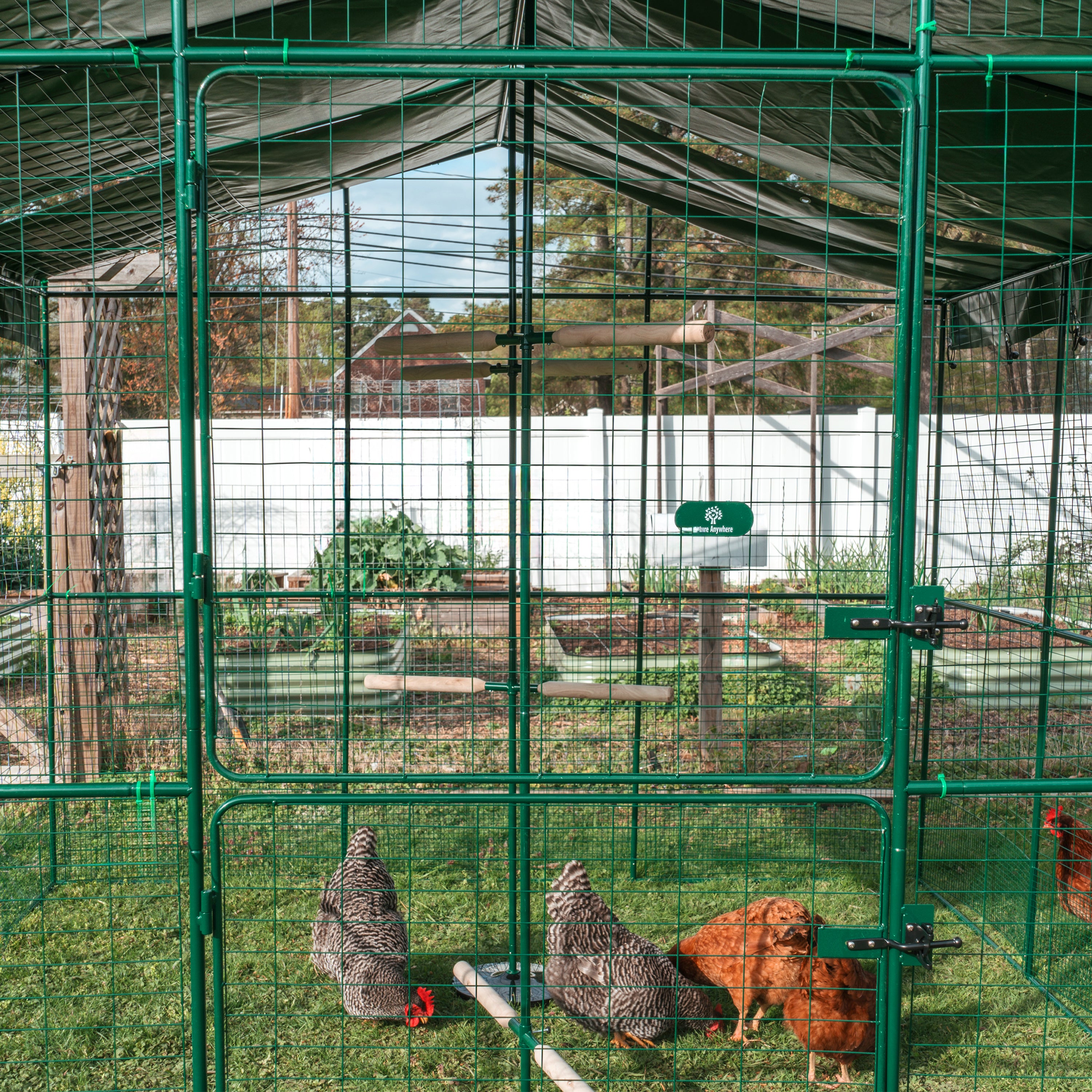 Extension Module for Beak Boutique Chicken Run