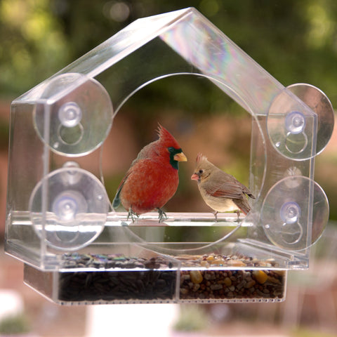 YODOOLTLY Window Bird Feeder in-House 180° Clear View Window Feeder Watch  Wild Birds from Home Easy-Refill Durable and Safe Bird Feeder Experience