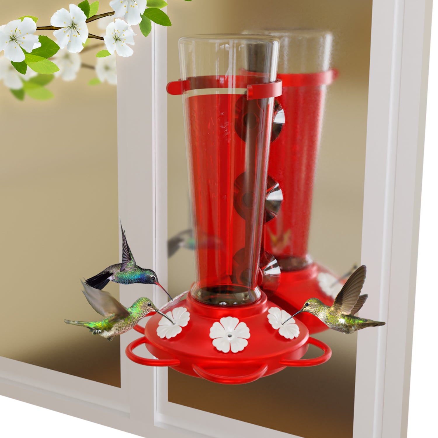 Window Hummingbird Feeder