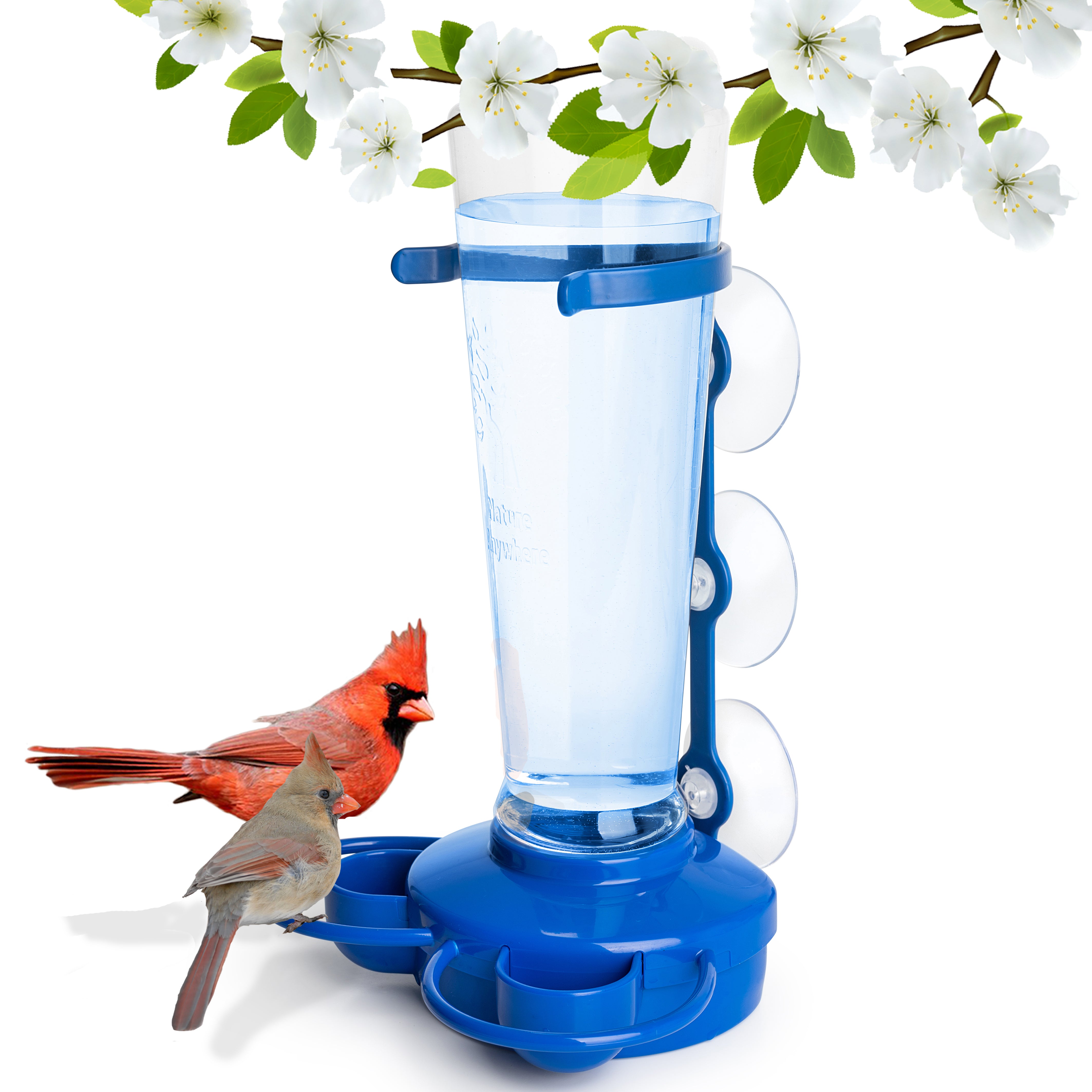 Bird Cooler Window Waterer