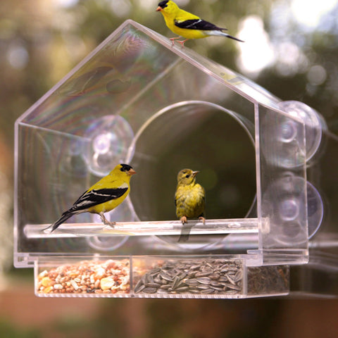 YODOOLTLY Window Bird Feeder in-House 180° Clear View Window Feeder Watch  Wild Birds from Home Easy-Refill Durable and Safe Bird Feeder Experience